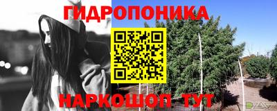 прущий лед Будённовск