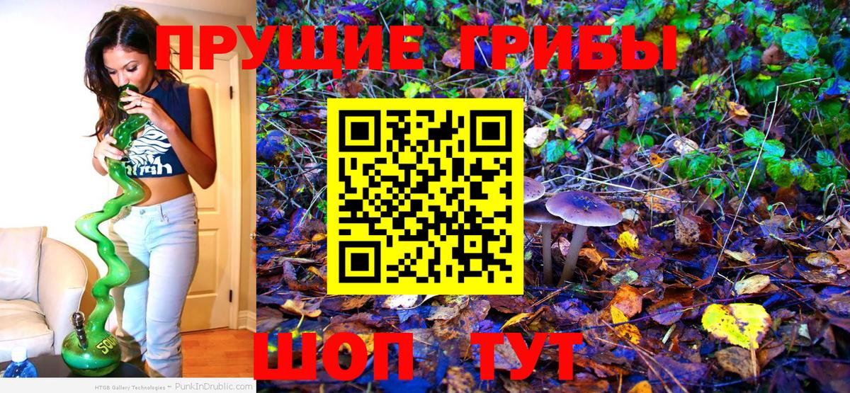 Псилоцибиновые грибы MAGIC MUSHROOMS Мирный