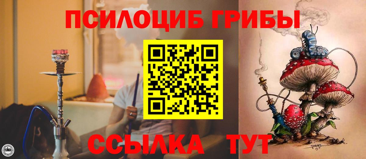 Псилоцибиновые грибы MAGIC MUSHROOMS  Вход с VPN  Мирный 